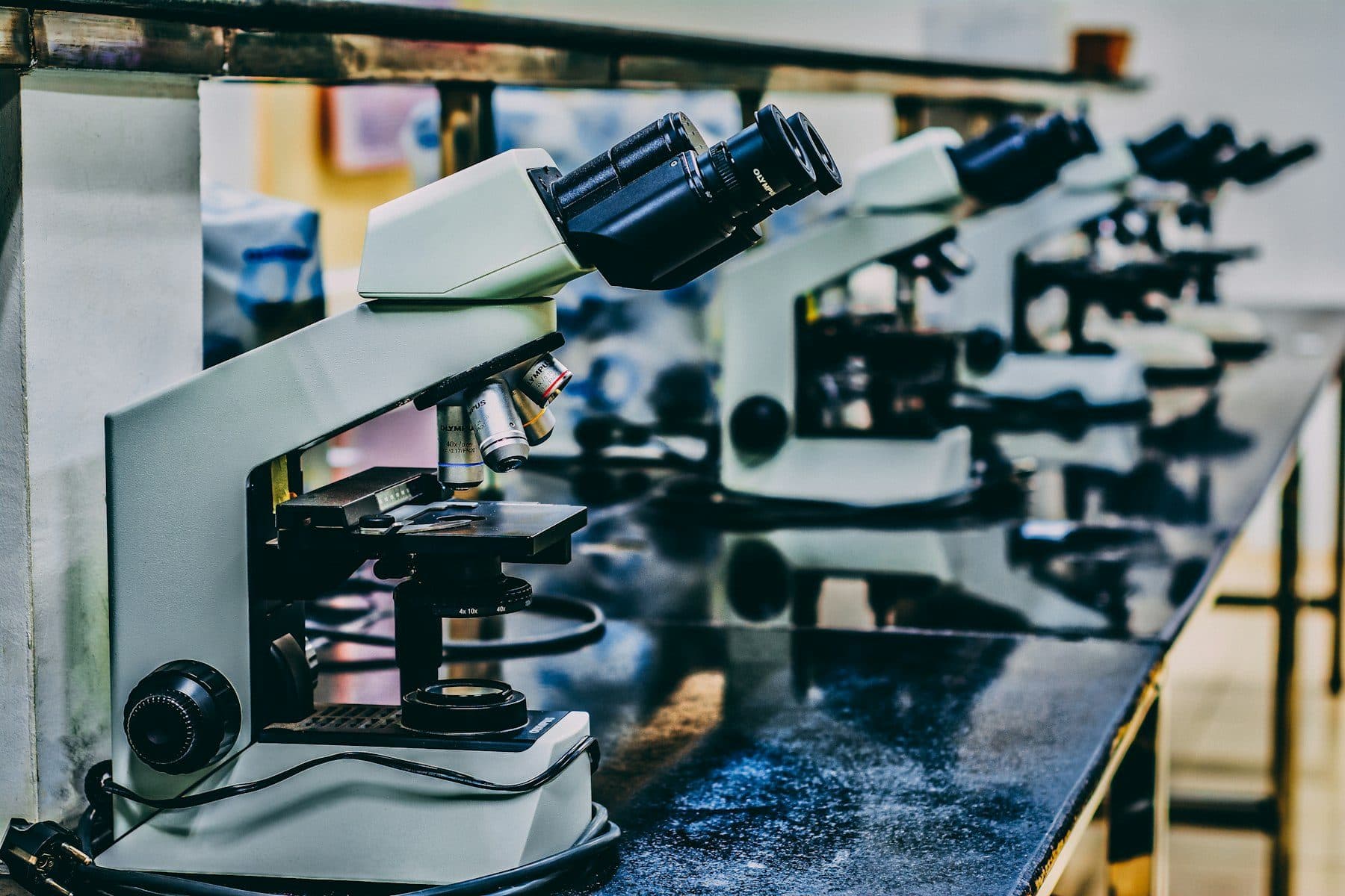 A row of microscopes on a laboratory bench.
